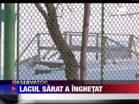 Lacul Sarat de langa Braila a inghetat
