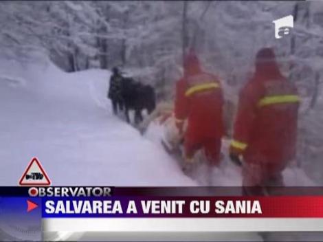 Traieste datorita unei sanii trase de un cal