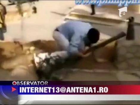 Sporturi extreme, accidente haioase