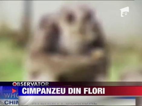 Cimpanzeu din flori