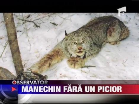 Manechin fara un picior