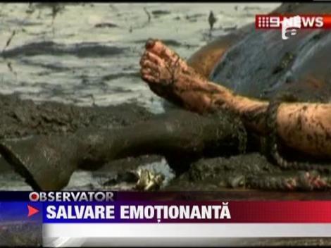 Salvare emotionanta in Australia
