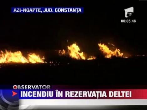 Incendiu in rezervatia Deltei Dunarii