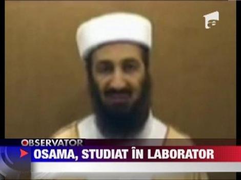 Osama, studiat in laborator