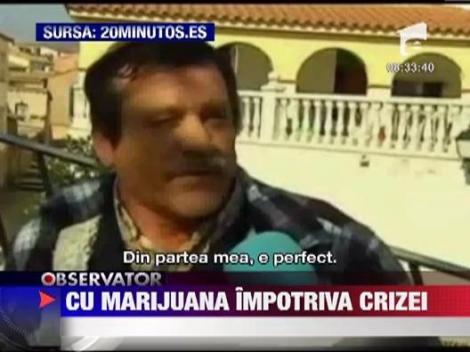 O localitate din Spania pune la dispozitie teren agricol pentru cultivarea de marijuana