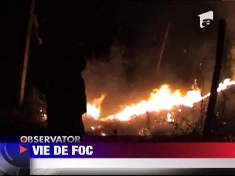 Incendiu violent in apropiere de Drobeta Turnu Severin