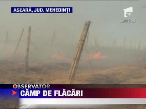 Incendiu pe un camp din Drobeta Turnu Severin