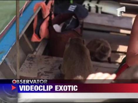 Anna Lesko, pe urmele lui Leonardo DiCaprio‎