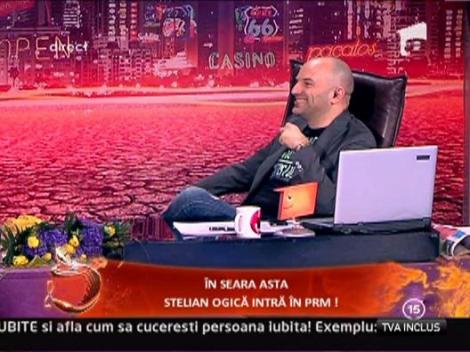 Viespea Casandra, pregatita sa devina doamna primar