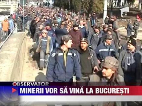 Minerii vor sa vina la Bucuresti
