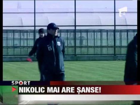 Baiatul rau, Stefan Nikolic, are sanse sa fie iertat