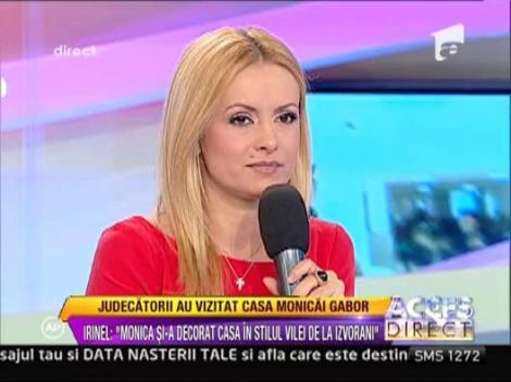 Irinel: "In mandatul Monicai, pictura Annei Lesko a disparut"