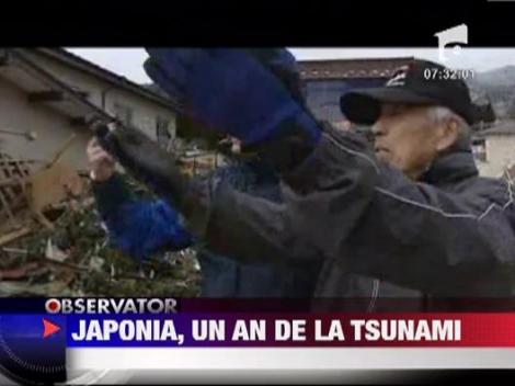 Fukushima si zonele vecine, la un an de la tsunami