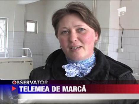 Telemeaua de Botosani, marca inregistrata