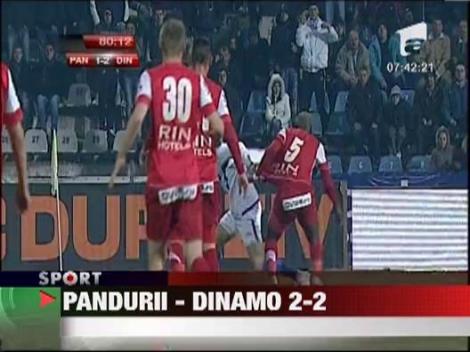 Pandurii - Dinamo 2-2