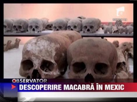 Descoperirea macabra in Mexic: 167 de cadavre intr-o pestera, vechi de 50 de ani
