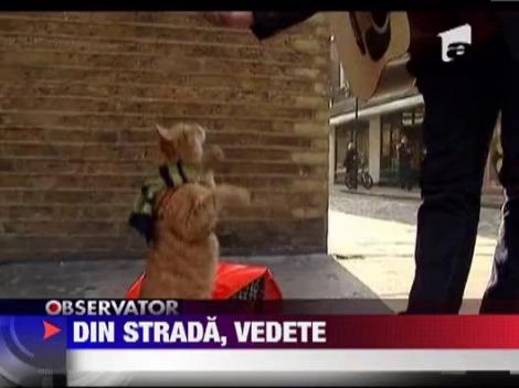 Un om al strazi si un motan si-au lansat cartea autobiografica