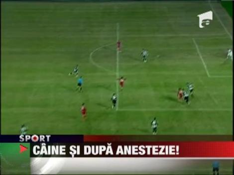 Cristi Borcea nu a avut voie sa vada meciul