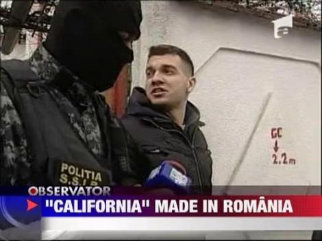 Gruparea "California", anihilata de la politistii de la furturi auto