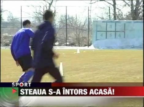 Steaua s-a intors Ghencea!