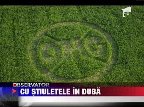 Au bagat stiuletii de porumb in duba