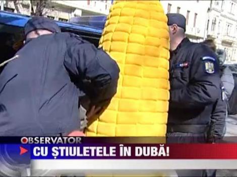 Cu stiuletele de porumb in duba!