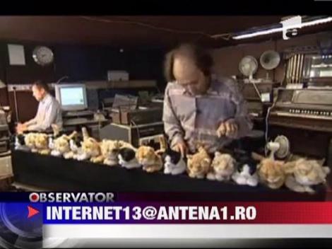 Catelusi de plus pe post de pian