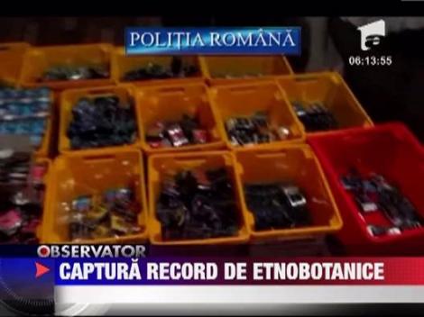 Captura record de etnobotanice, la Constanta