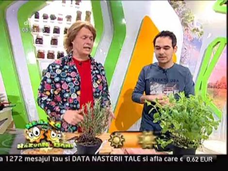 Piept de pui cu sos de arahide