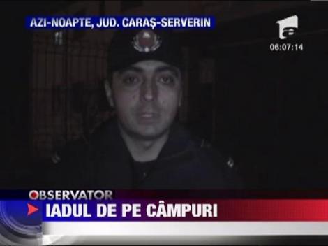 Incendii de vegetatie la marginea orasului Oravita