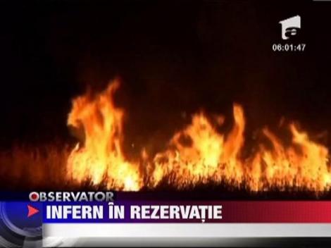 Incendiu puternic in Rezervatia Naturala Stufarisurile de la Sic