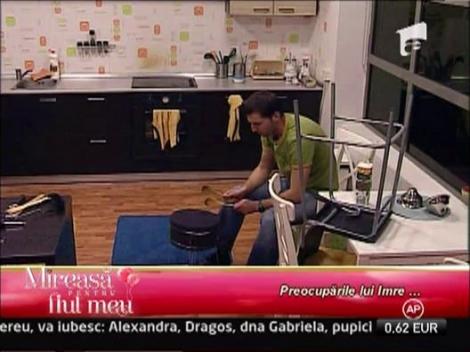 Preocuparile lui Imre