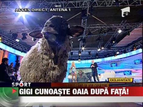 Gigi Becali cunoaste oile dupa buze