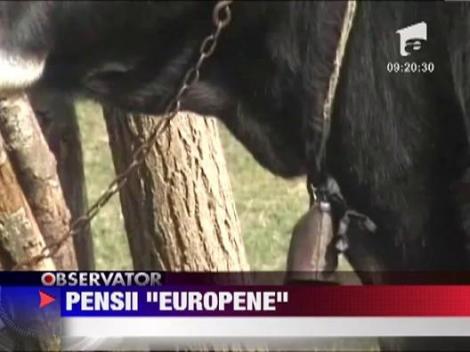 Satul cu cele mai ridicole pensii din Romania