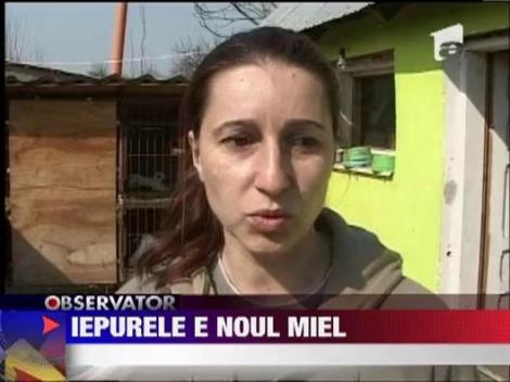 Carnea de iepure si de ied, alternativa pentru carnea de miel!