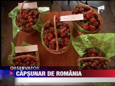 Capsunar in Romania!