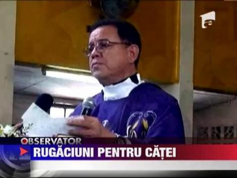 Slujba religioasa pentru catei