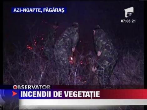 Incendiu de vegetatie in Fagaras