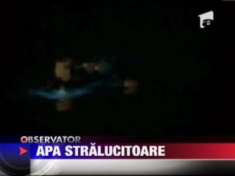 Minune a naturii: Apa care straluceste noaptea