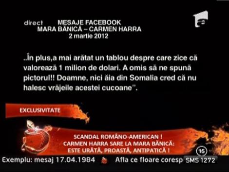Vezi mesajul care a scos-o din sarite pe Carmen Harra