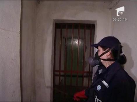 A inceput deratizarea in capitala