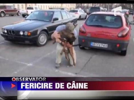 Cum reactioneaza un caine cand stapanul sau se intoarce acasa