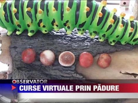 Plimbari virtuale cu bicicleta in Parcul Natural Lunca Muresului