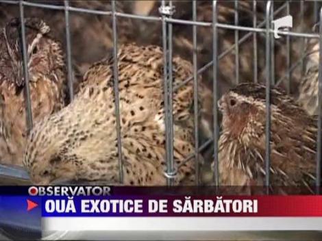 Oua exotice de sarbatori