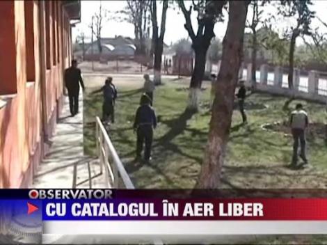Cu catalogul in aer liber