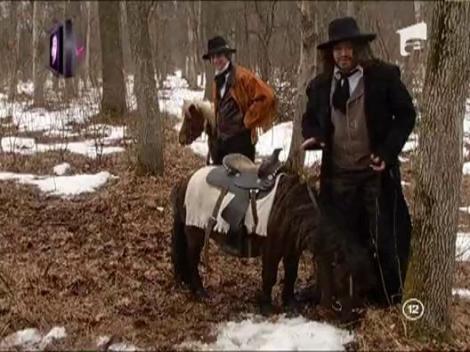 Prezentare "In Puii Mei!"