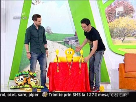 Concursul  „Colacul de Aur”