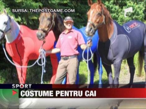 Costume pentru cai