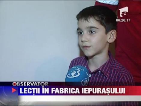 Lectii in Fabrica Iepurasilor