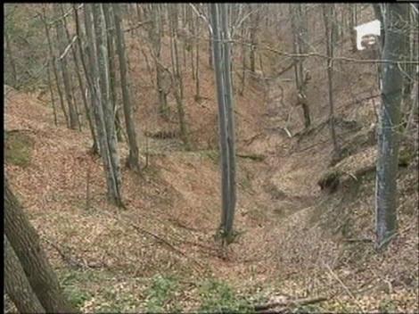 Cadavru decapitat, intr-o padure din Bihor